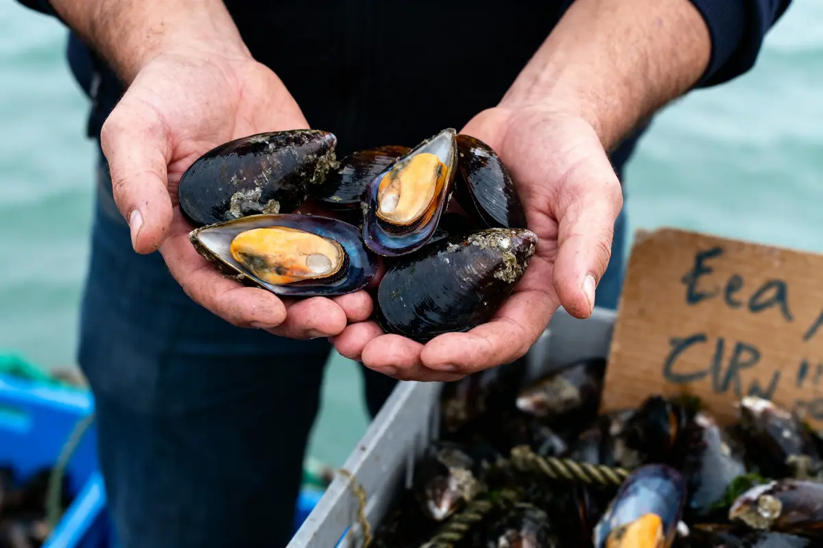 Mains tenant des moules fraîches ouvertes, plateau en arrière-plan, mer en fond. Caque partiellement visible.