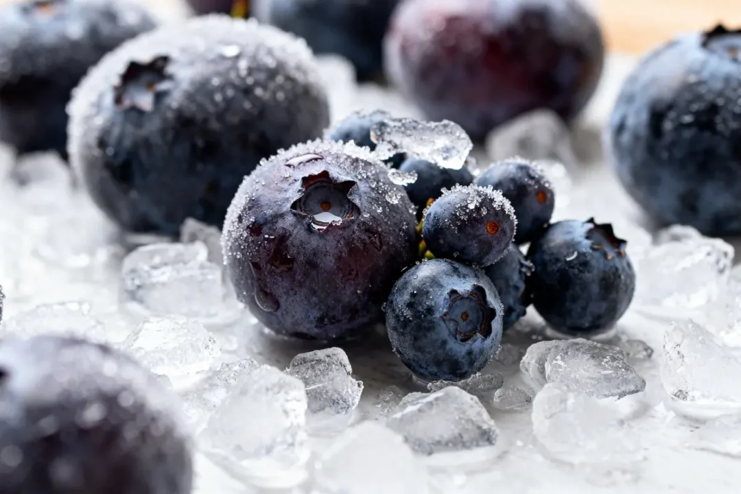 Myrtilles en gros plan avec givre et glace illustrant la congélation des fruits