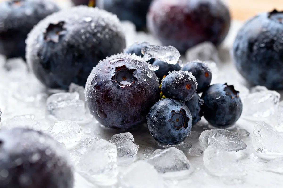 Myrtilles en gros plan avec givre et glace illustrant la congélation des fruits