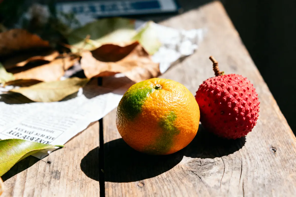 Deux fruits tropicaux litchi et orange sur une table en bois fruits en y