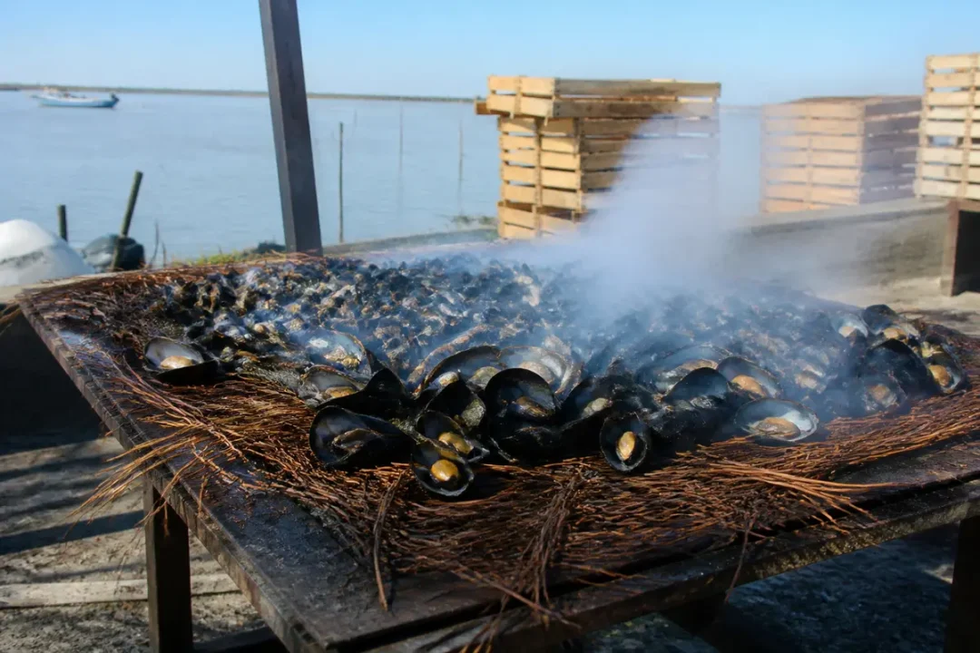 Préparation traditionnelle d'éclade de moules fumantes sur un lit d'aiguilles de pin